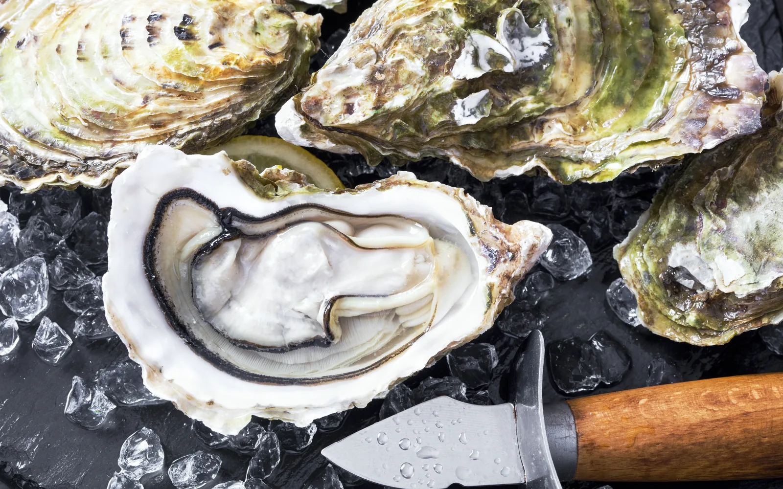 Ten Dollars, Two Days of Lobster Rolls, and an 1888 Oyster Sloop in West Sayville