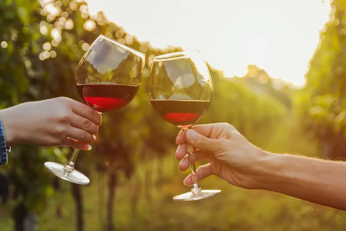 Best Long Island Wineries to Visit in the Fall 🍷