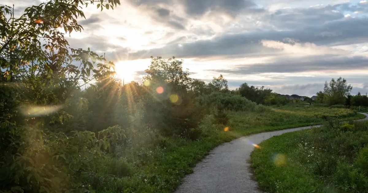 Pedal Your Way Through Paradise: The Best Biking Trails on Long Island