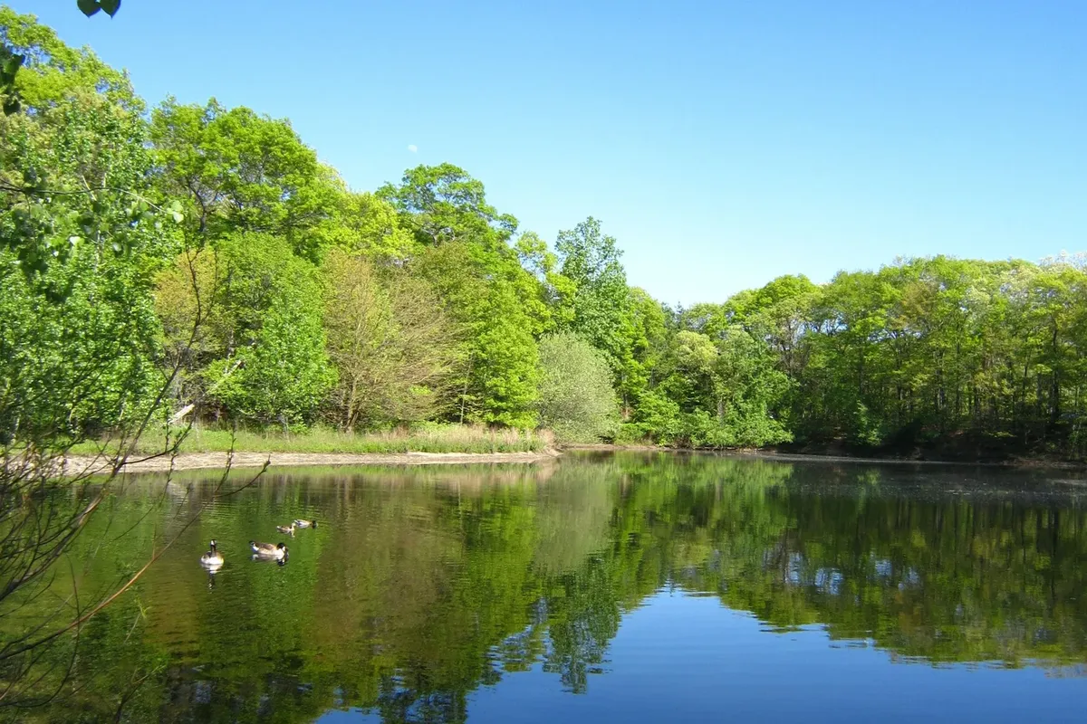 Top Fishing Spots on Long Island 🎣