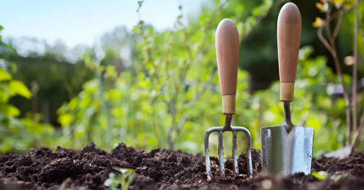 The Ultimate Guide to Eco-Friendly Living on Long Island: Tips, Tricks, and Green Lifestyle Hacks