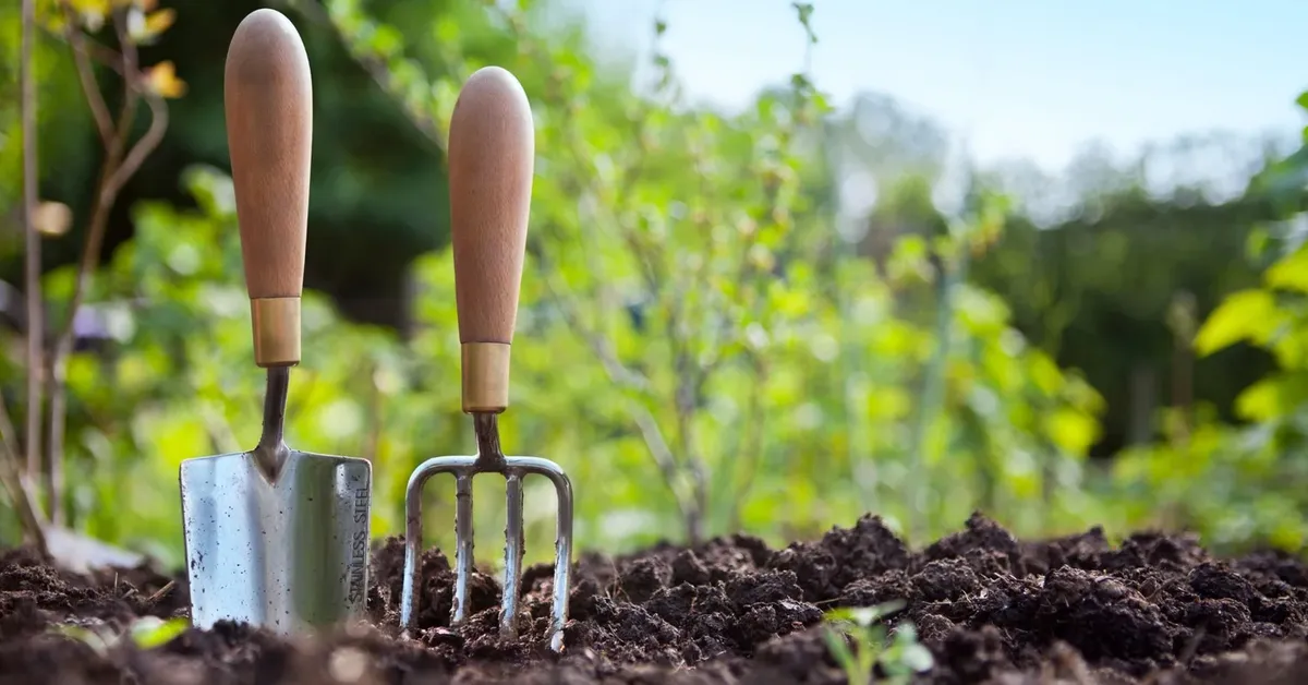 The Best Garden Centers and Nurseries on Long Island: A Green Thumb's Guide