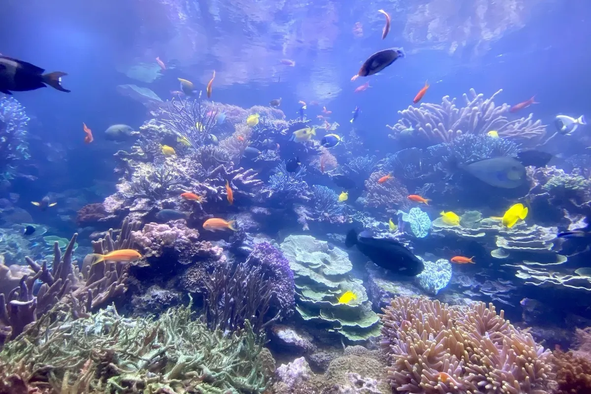 Long Island Aquarium is a Must-See Destination in Riverhead