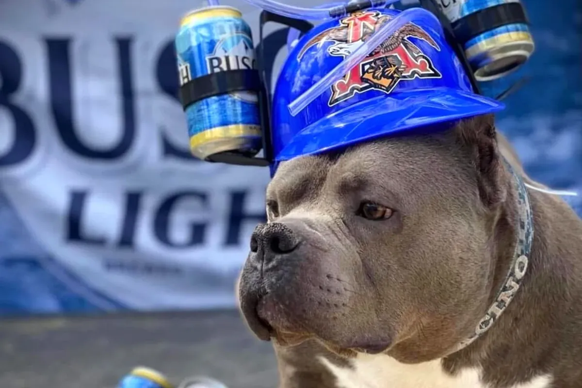 Barks and Brews Fundraising Event to be Held on June 12 in Yaphank