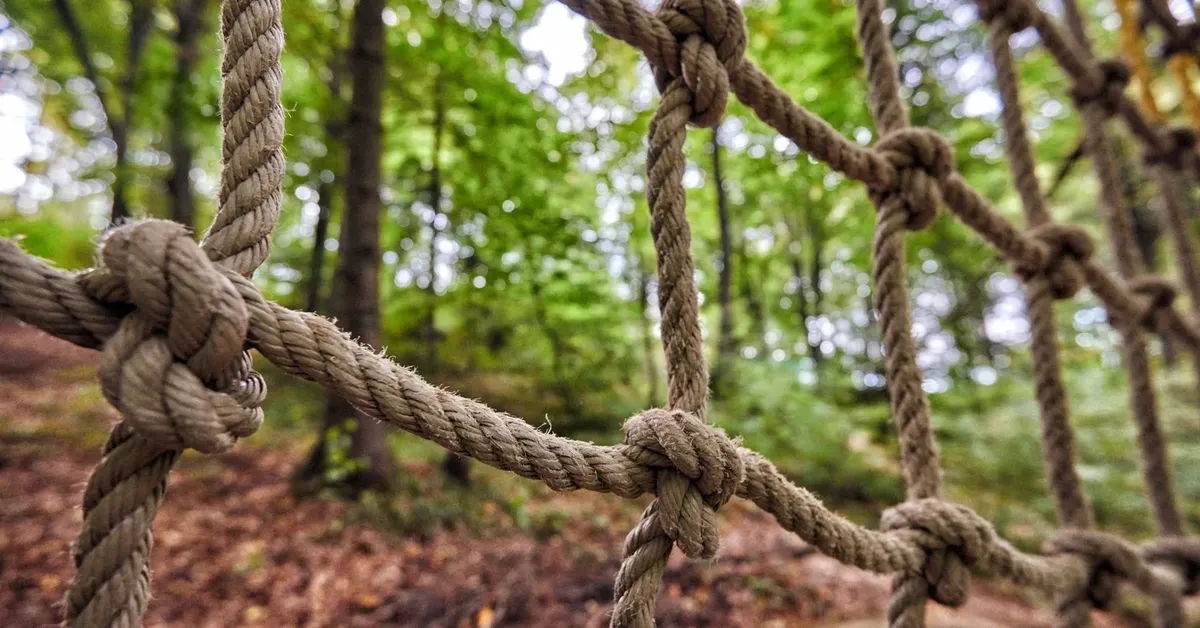 Get Your Adrenaline Pumping: The Best Adventure Parks on Long Island