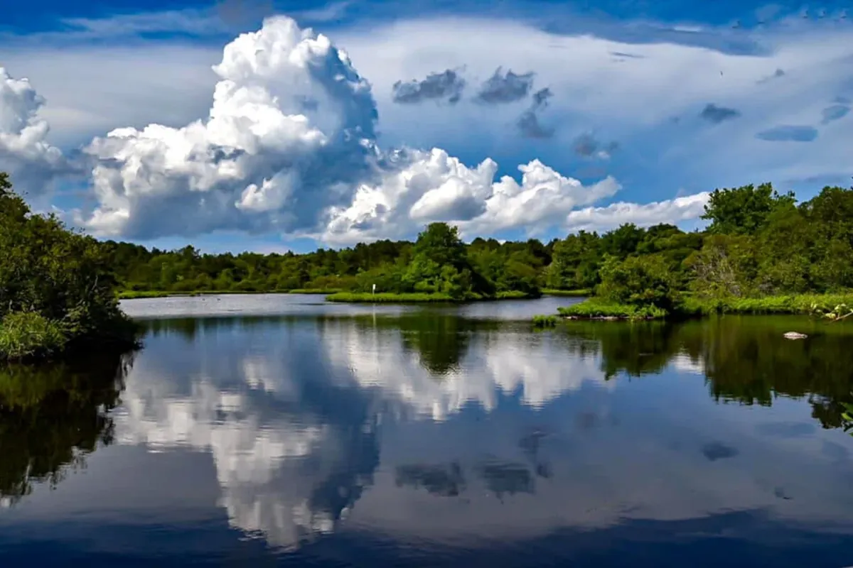 10 Great Outdoor Activities for Kids on Long Island