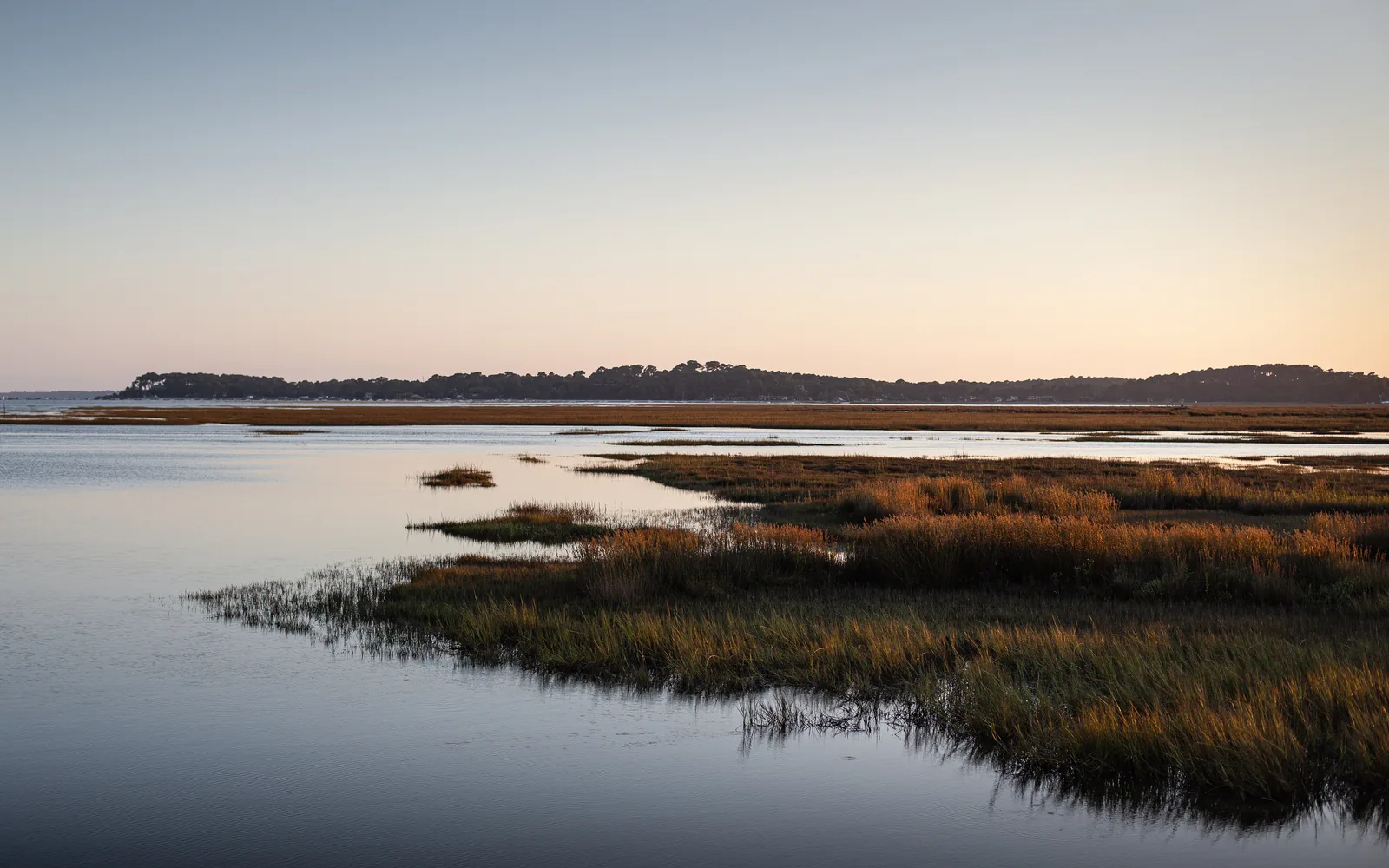 West Nile Is Turning Up in Seven Suffolk Communities. The County Answer Arrives at 5:30 p.m.