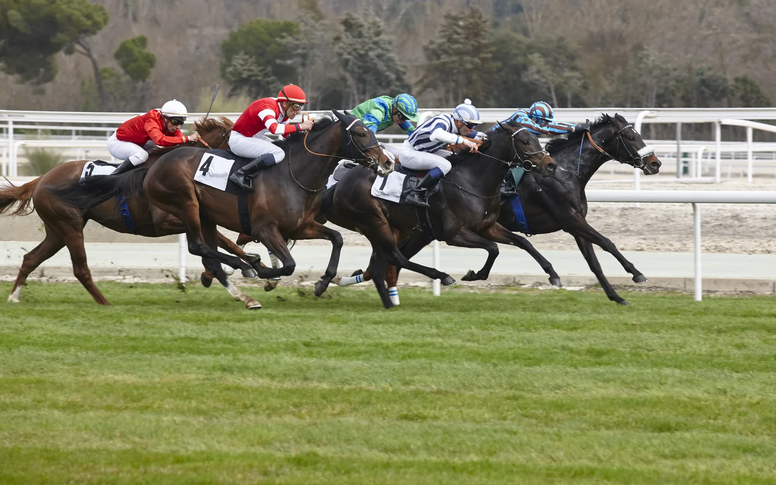 Belmont Park Reopens in September, and Elmont Is About to Find Out What That Is Worth