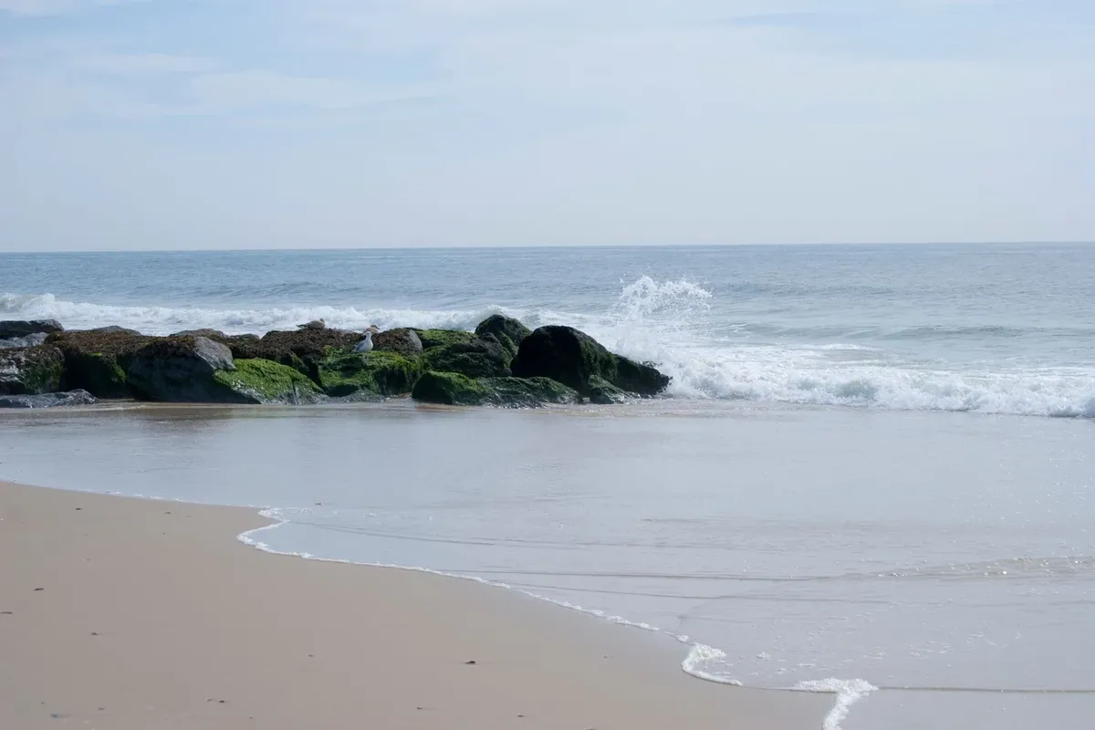 The Surfrider Foundation does Important Work on Long Island