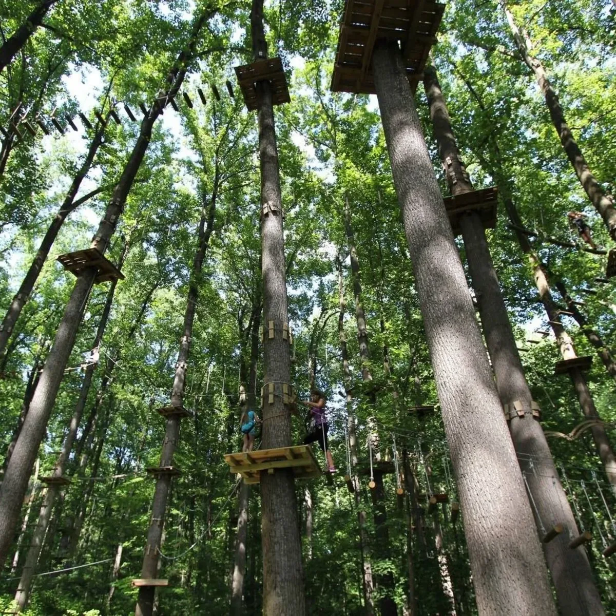 -Photo Credit: The Adventure Park at Long Island