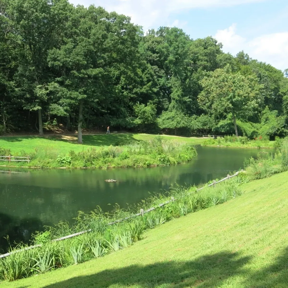 -Photo Credit: Sands Point Preserve Conservancy