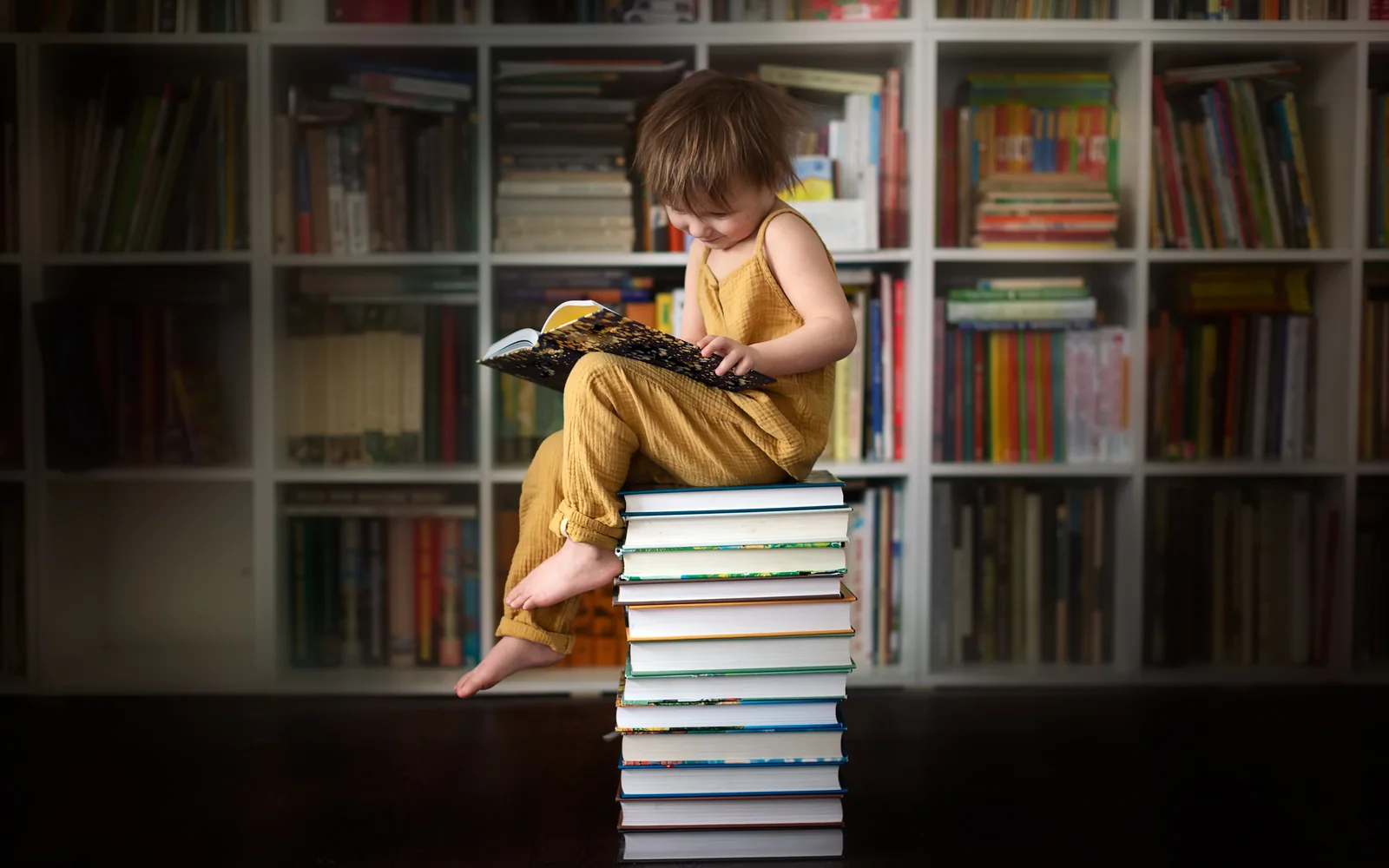 A Free Literacy Panel and Book Drive Lands in Hicksville on August 5. Admission Is One Book.