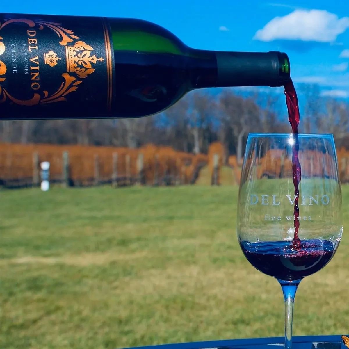 -Photo Credit: Del Vino Vineyards