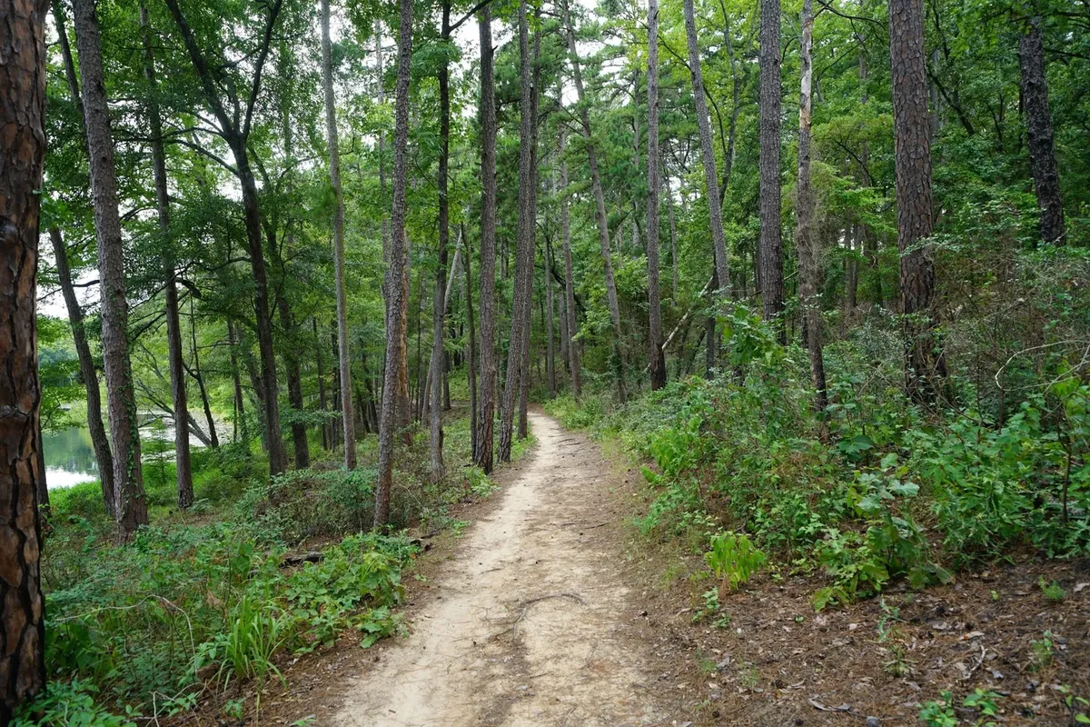 8 Long Island Hiking Trails Great for the Fall 🥾