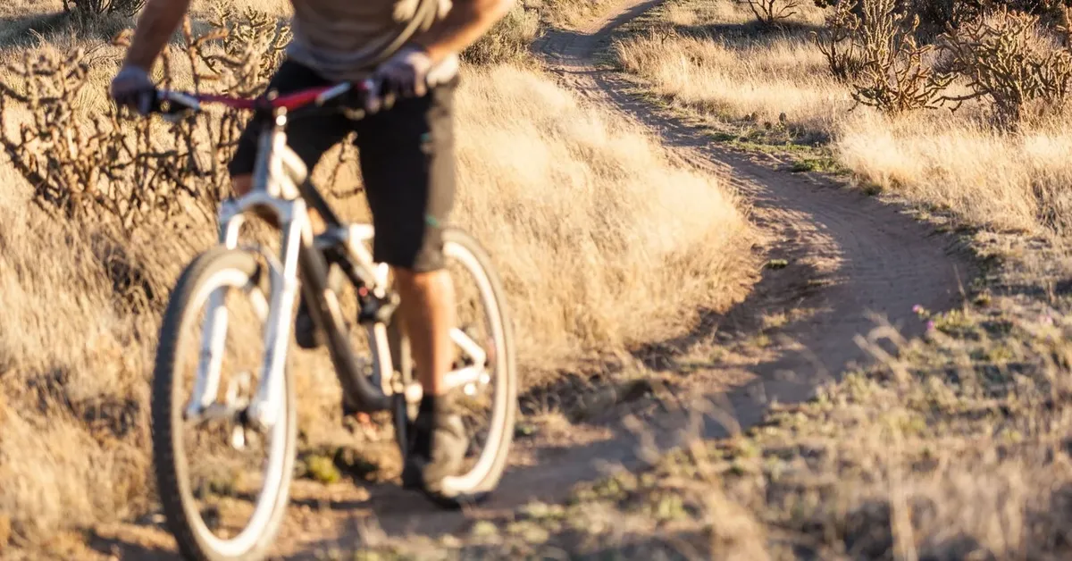Pedal Your Way Through Paradise: A Guide to Long Island's Most Scenic Bike Trails