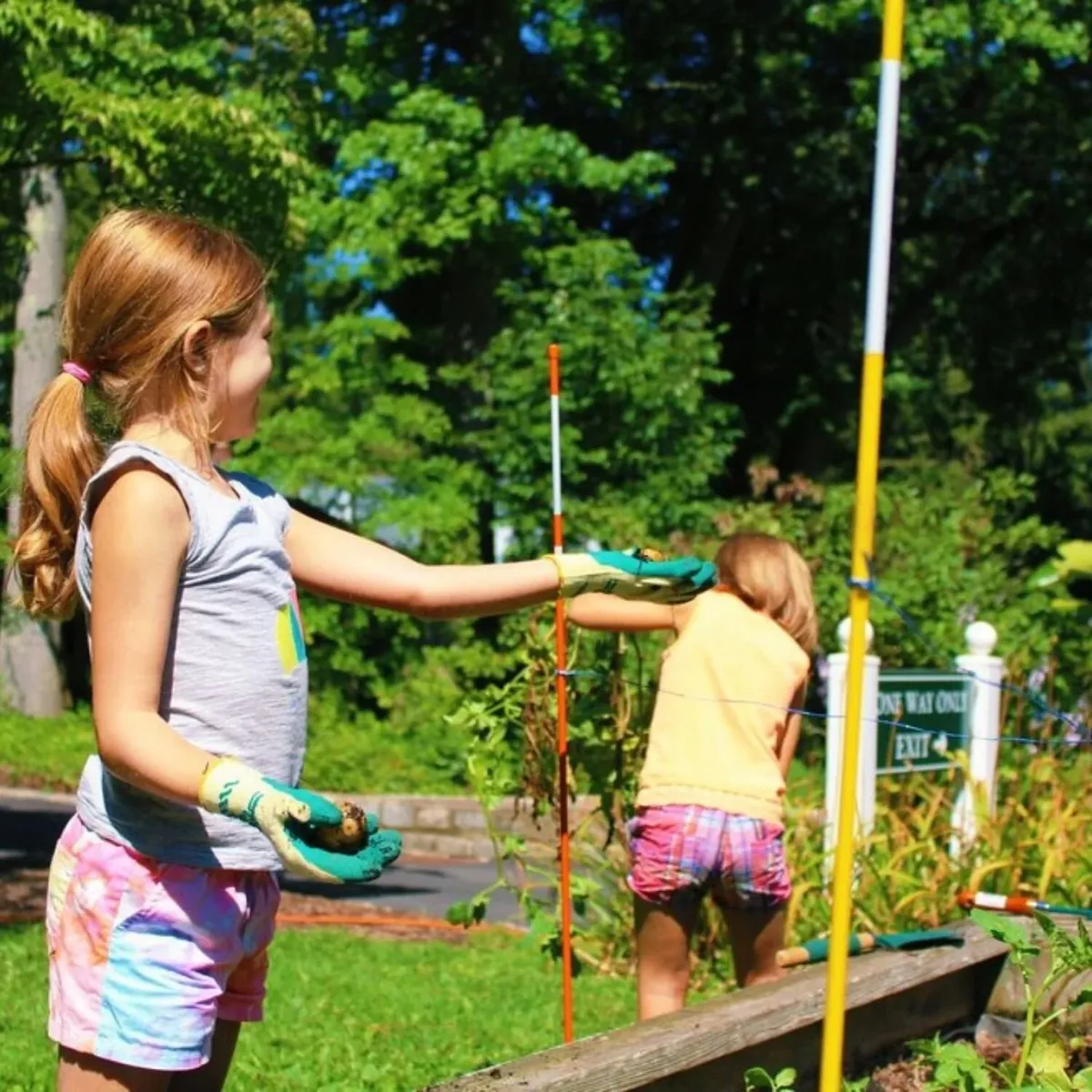 -Photo Credit: Bailey Arboretum