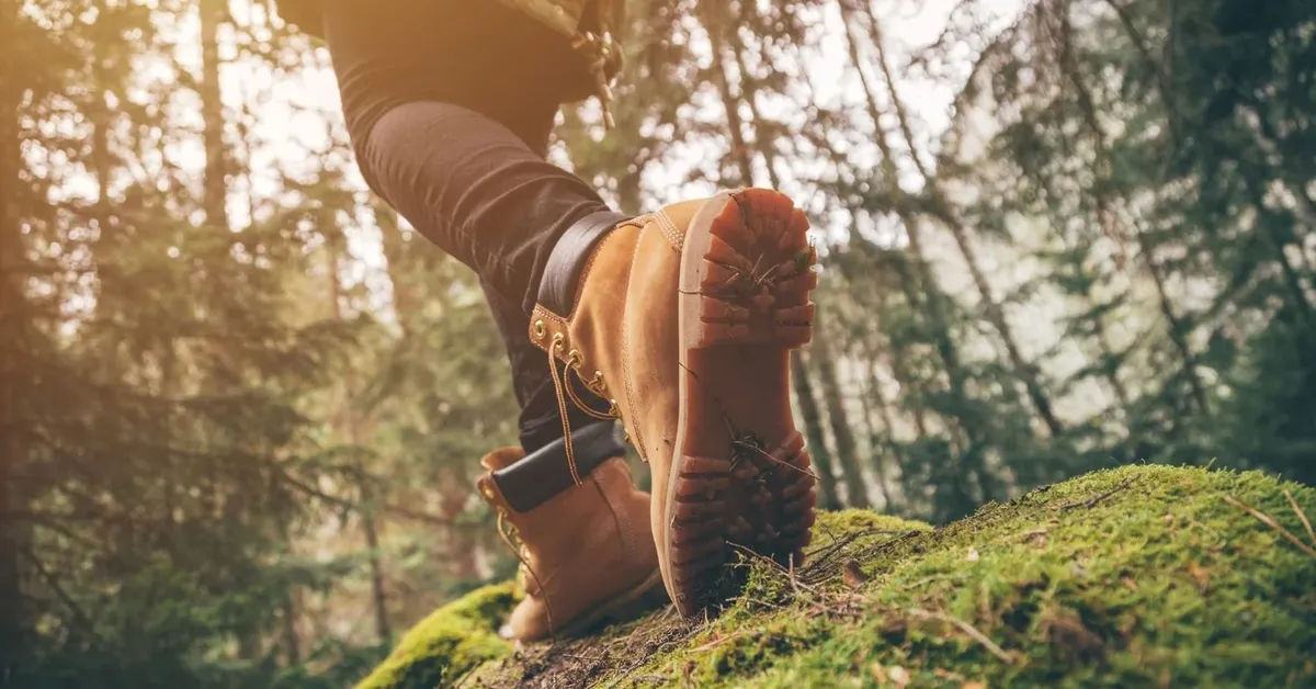 Explore the Beauty of the Hamptons: Top Hiking Trails to Experience in Long Island