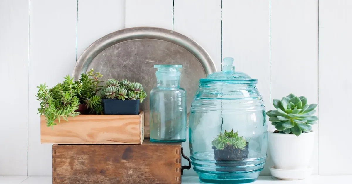 A Guide to Long Island's Best Thrift Stores for Budget Home Décor: Uncover Hidden Gems