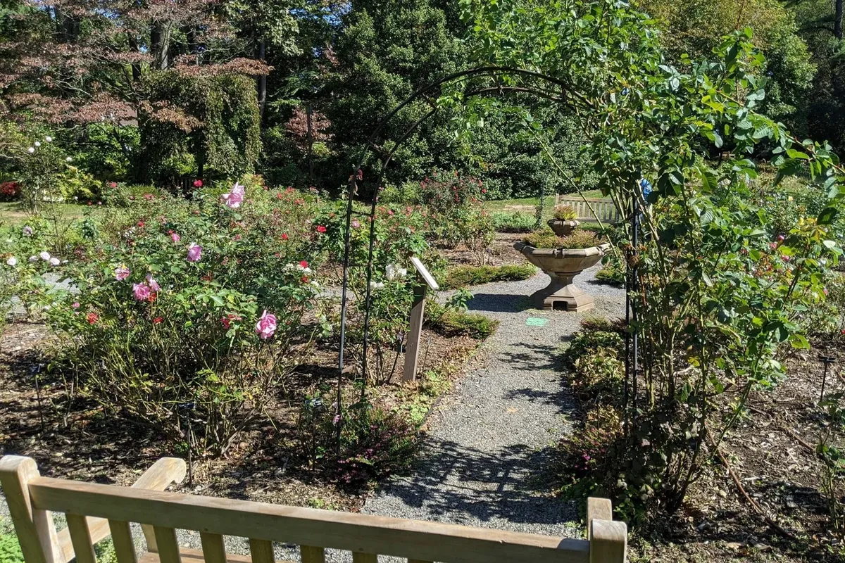 -Photo Credit: Clark Botanic Gardens