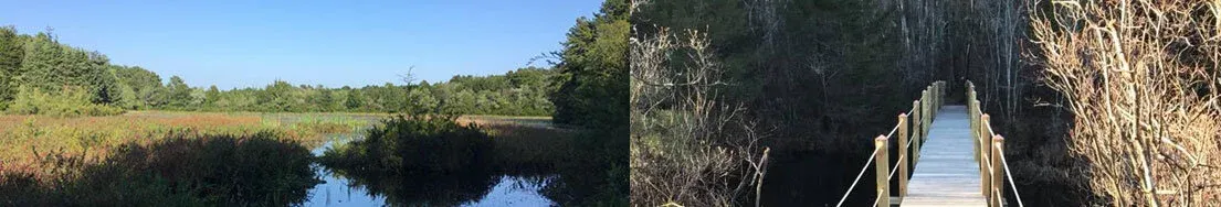   -Photo Credit:    Suffolk County Parks   