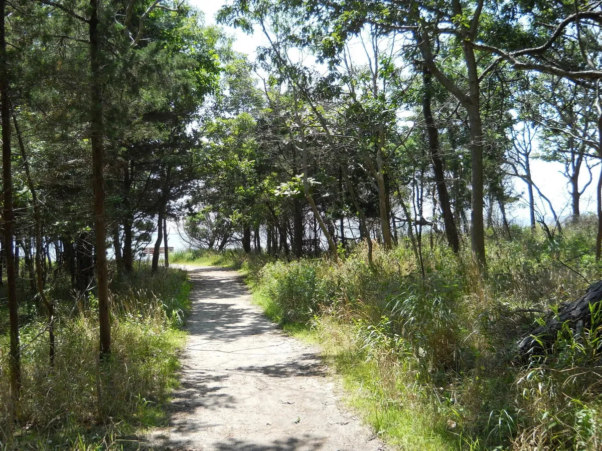   -Photo Credit:    All Trails   