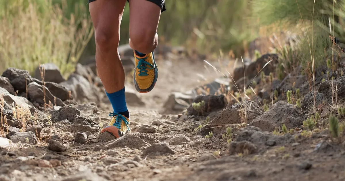 The Top Running and Walking Trails on Long Island: A Path to Fitness