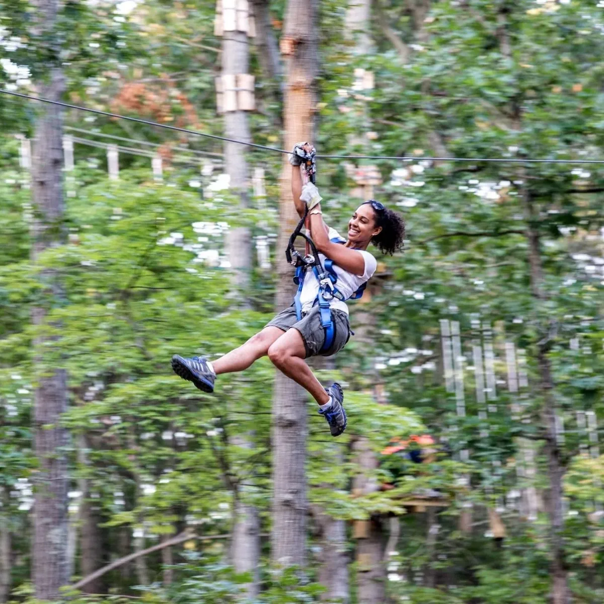   -Photo Credit:    The Adventure Park at Long Island   