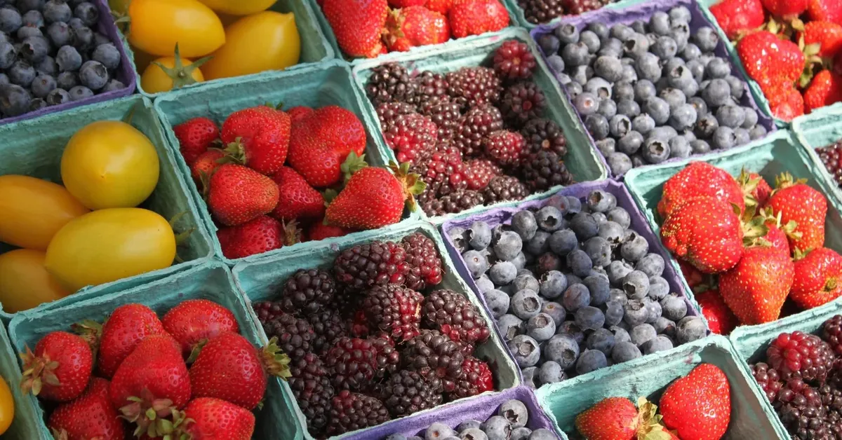 Farm to Table Paradise: Long Island's Best Farmers Markets for Fresh Local Produce
