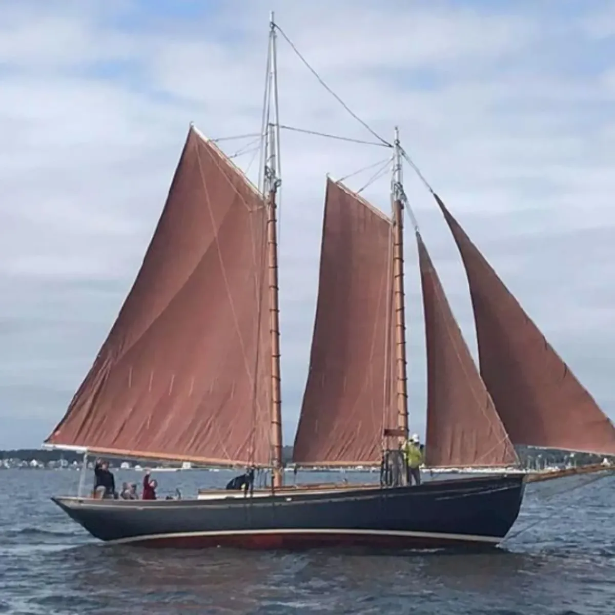   -Photo Credit:    Ginny Marie Schooner   