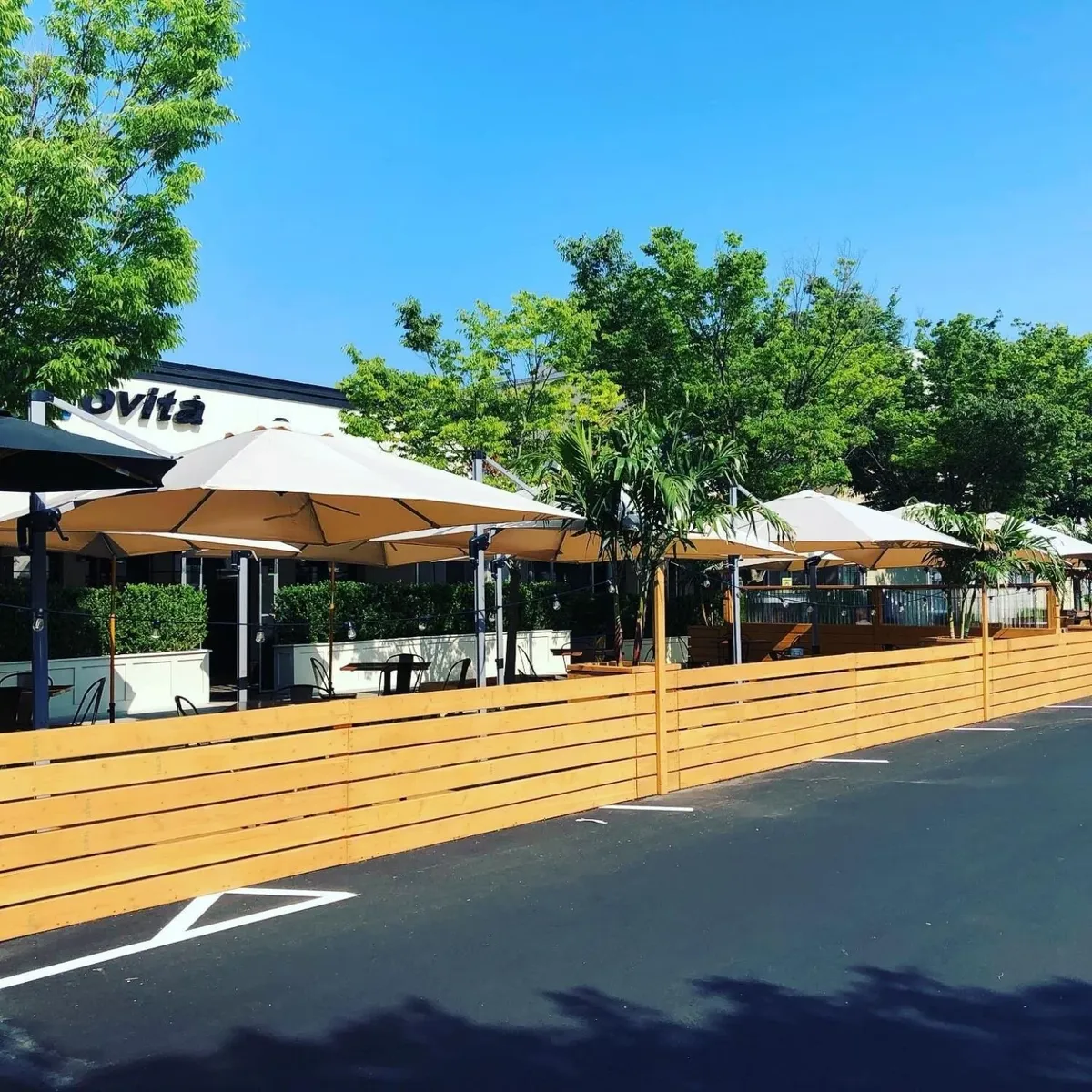   -Photo Credit:    Novitá Wine Bar & Trattoria   