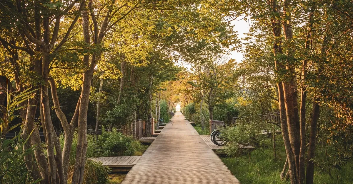 Picture-Perfect Long Island: A Guide to the Most Instagrammable Spots for the Aesthetically Inclined