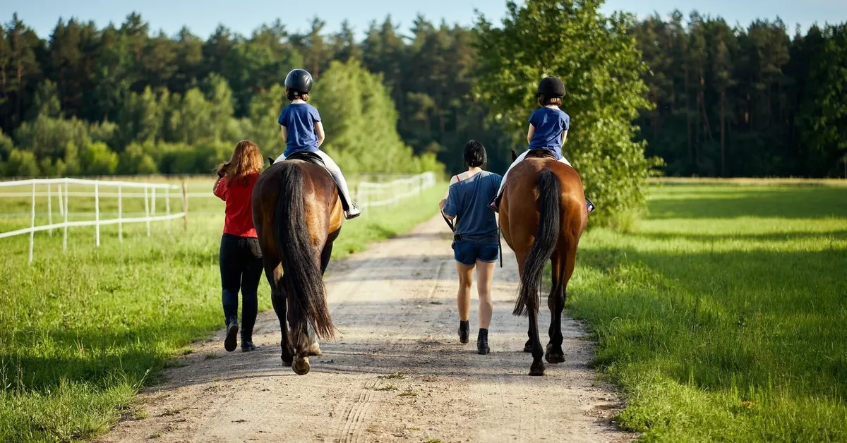 Unbridled Adventure: The Ultimate Guide to Horseback Riding Trails and Stables on Long Island
