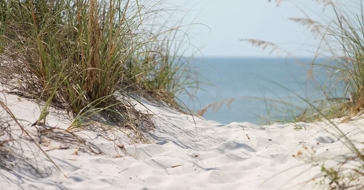 Riding the LIWave: Your Ultimate Guide to the Top 5 Long Island Beaches for an Unforgettable Memorial Day Celebration!