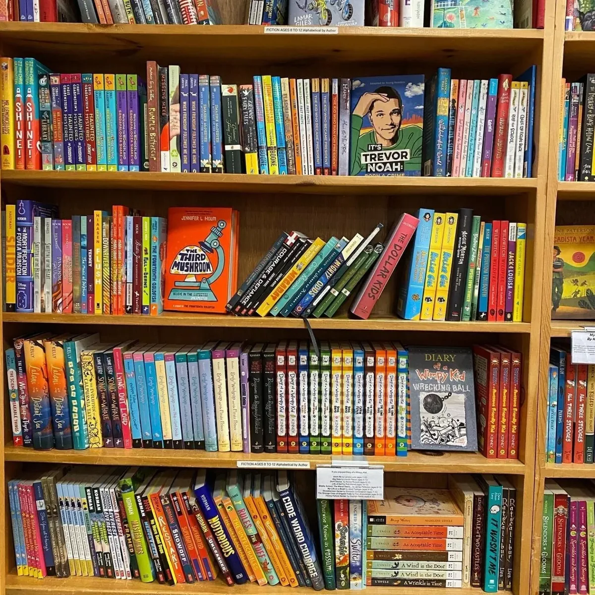 -Photo Credit: Dolphin Bookshop & Cafe
