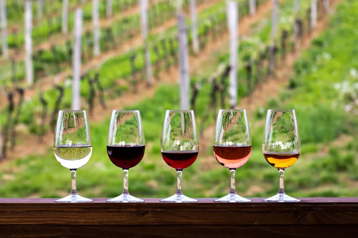 Additional Wineries to Check Out this Summer 🍷