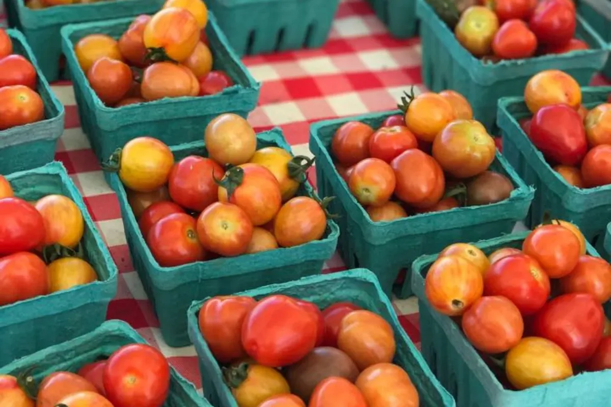 Long Beach Farmers’ Market is in Session 🍅