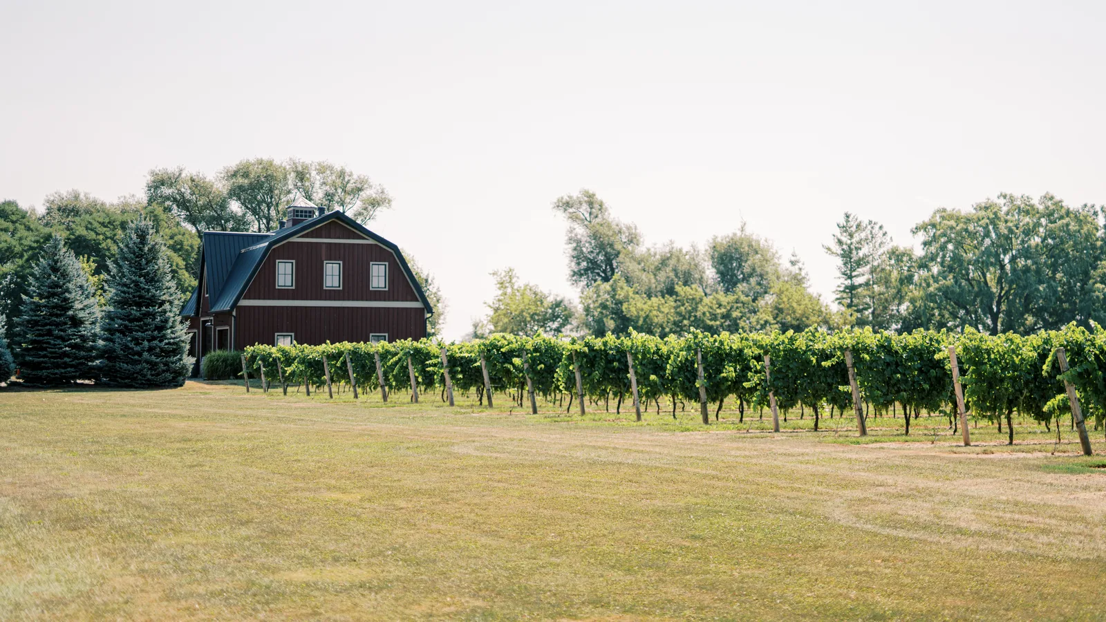 The Farm Where Long Island Wine Began Is Getting Ready to Pour Again