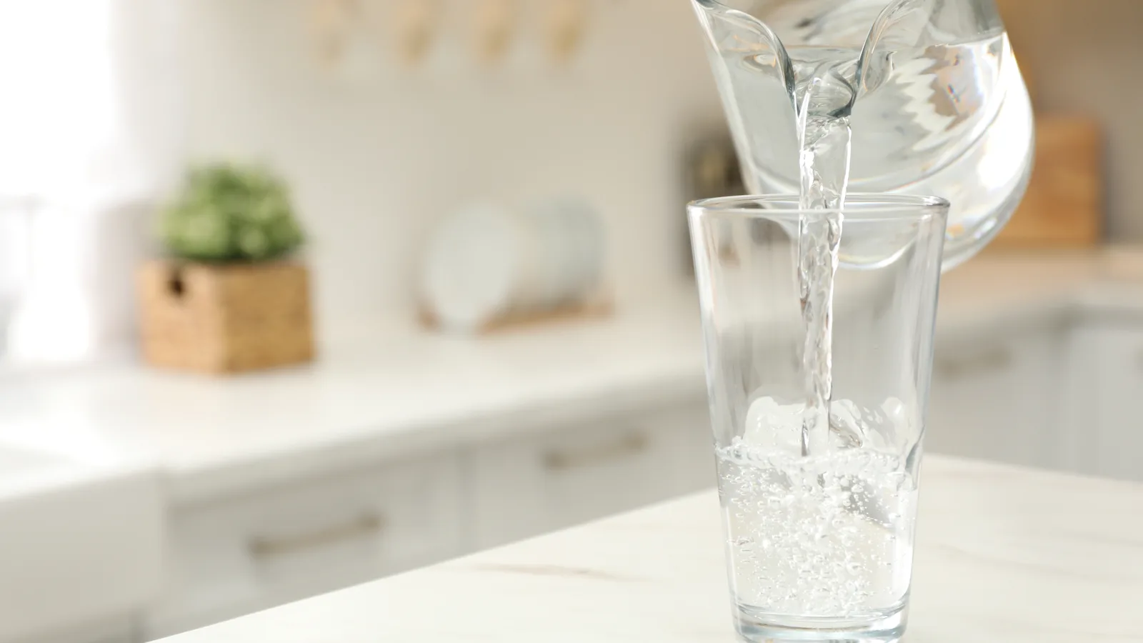 Port Washington Dedicated the Plant That Scrubs Most of Its Drinking Water
