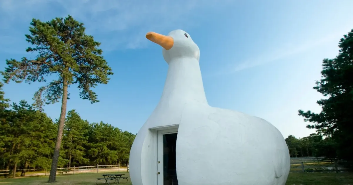 The Long Island Adventure: 50 Unmissable Attractions and Experiences for the Ultimate Bucket List