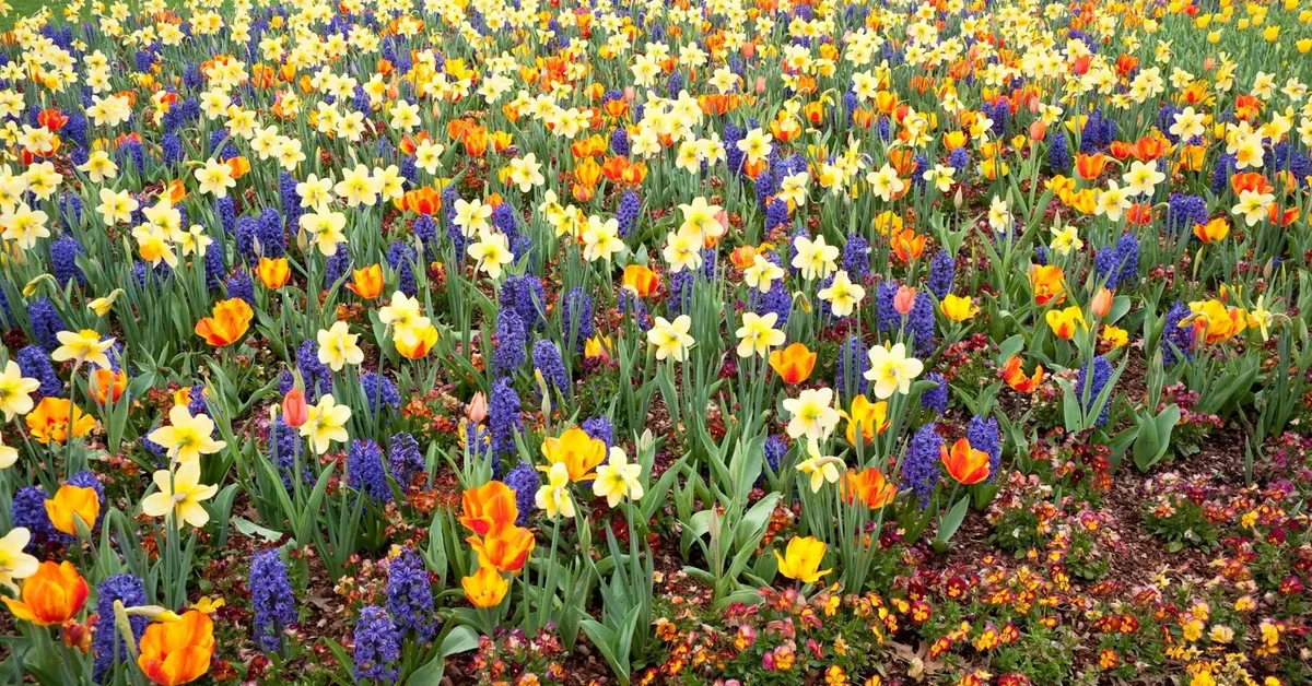 A Guide to Long Island's Most Beautiful Gardens and Arboretums