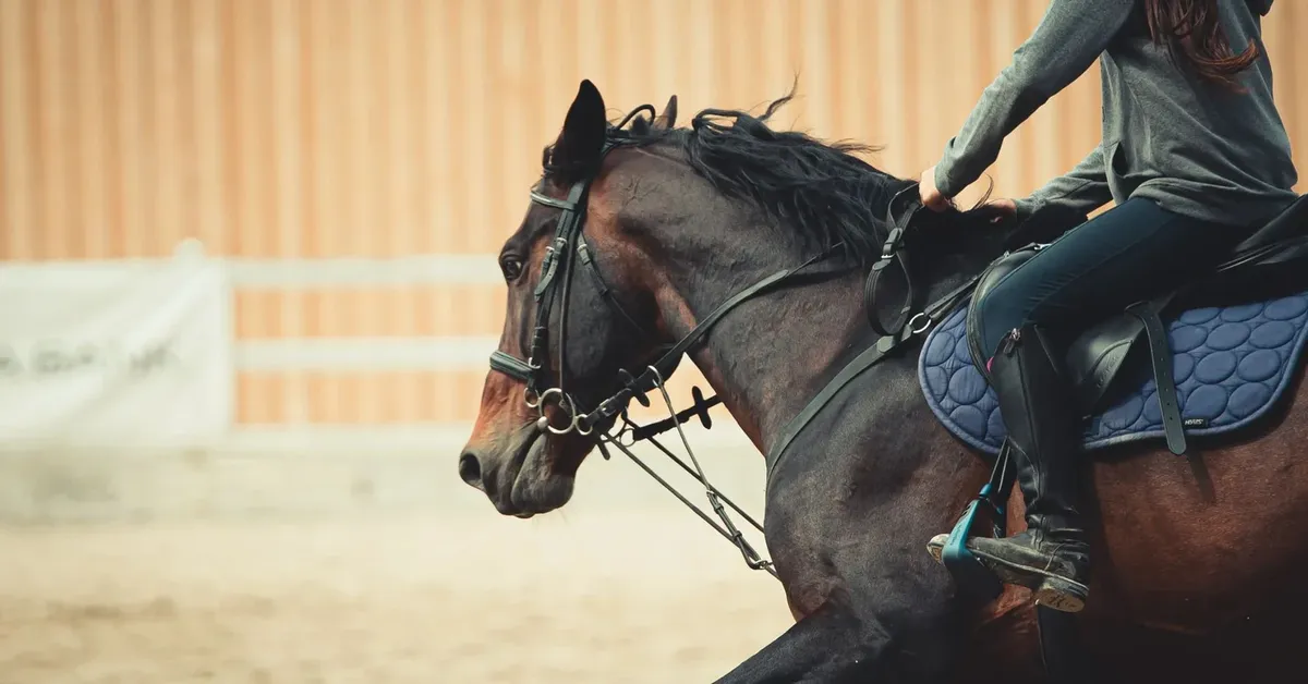 Galloping Glory: Unbridling Long Island's Equestrian Scene - Horseback Riding and Polo Matches