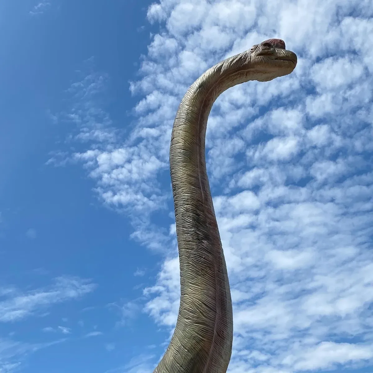 -Photo Credit: Dino Safari USA