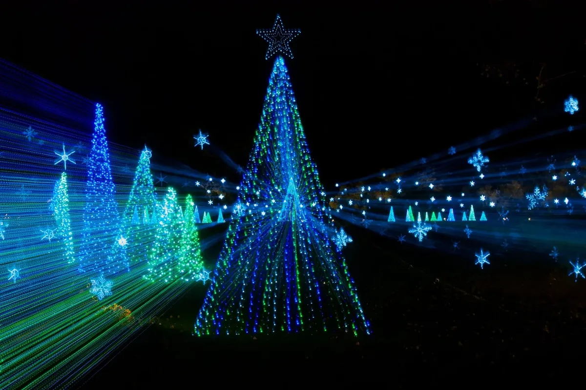 Top Winter Light Shows 🎄