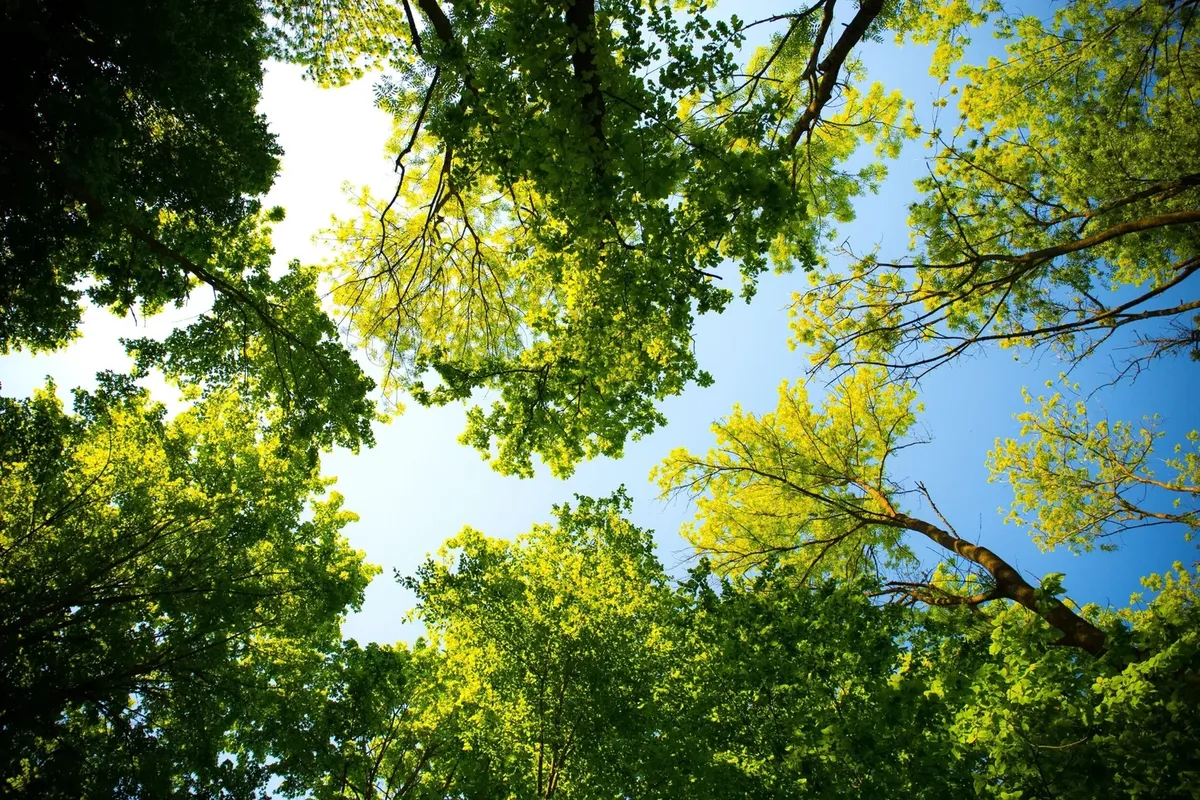 Cold Spring Harbor State Park Offers Great Views not far From Home