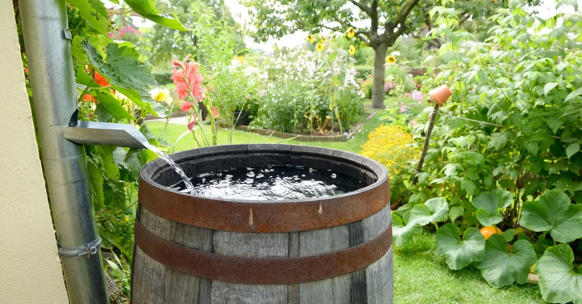 Long Island Regional Planning Council to Offer ‘Garden Rewards’ Grant Program for Homeowners to Reduce Runoff and Nitrogen Pollution