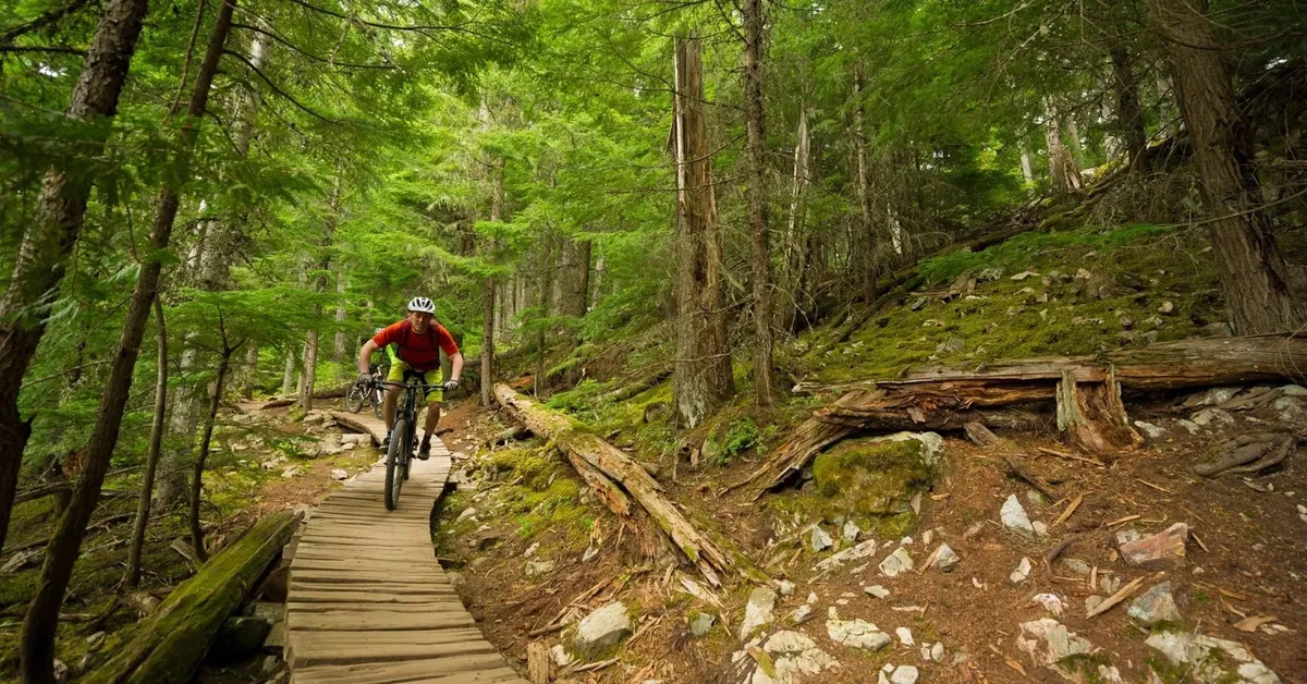 Discover Long Island's Top Mountain Biking Trails: Adventure Awaits!