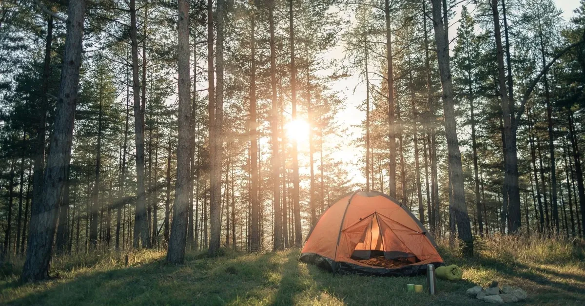 Get Back to Nature: Discover the Best Places for Camping on Long Island