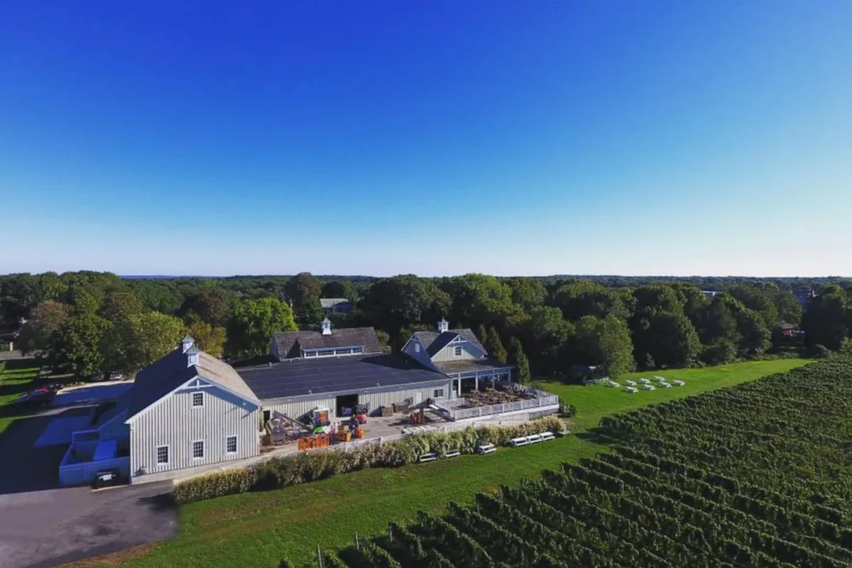 -Photo Credit: Bedell Cellars