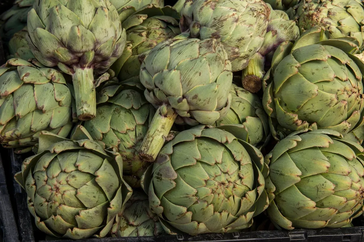 Sayville Farmers' Market set to Open May 1