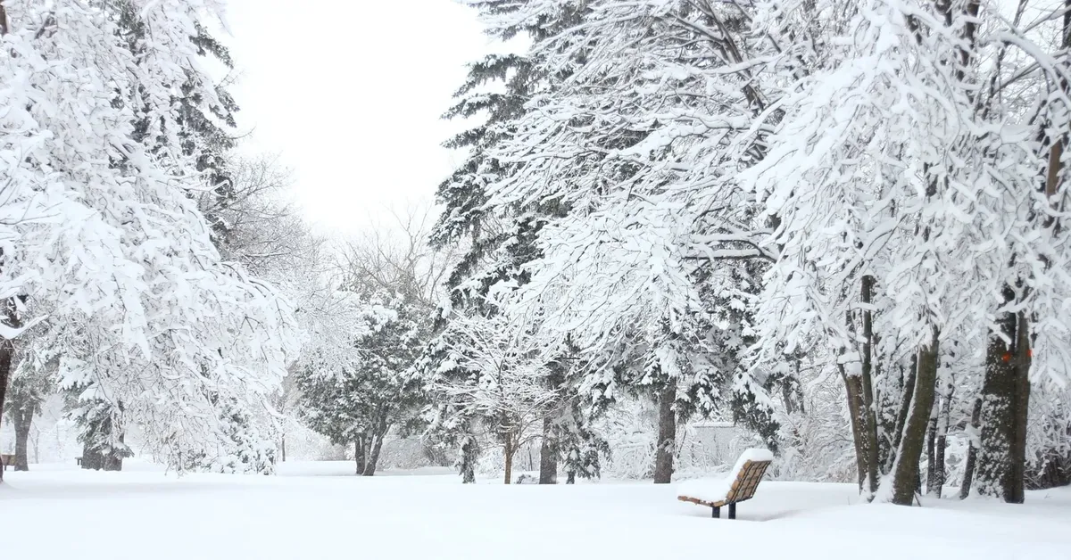 Embrace the Chill: The Best Winter Weekend Activities on Long Island in March